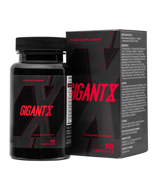 GigantX - immagine 1